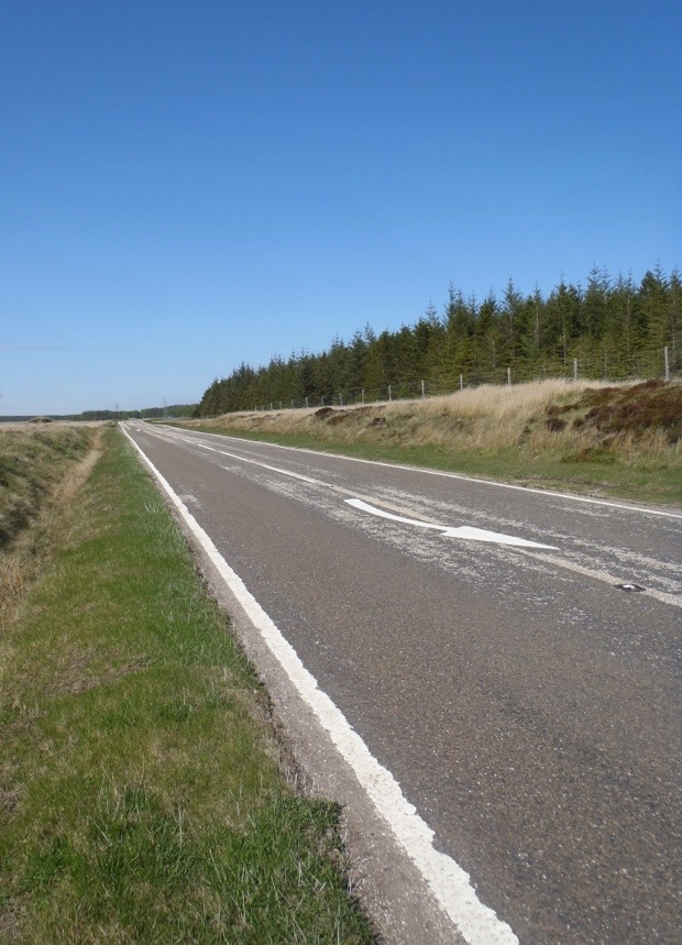 20130530-211553.jpg