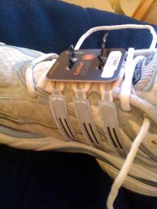 Chip firmly attached to my trainer... glad they don't look like asbo tags anymore!