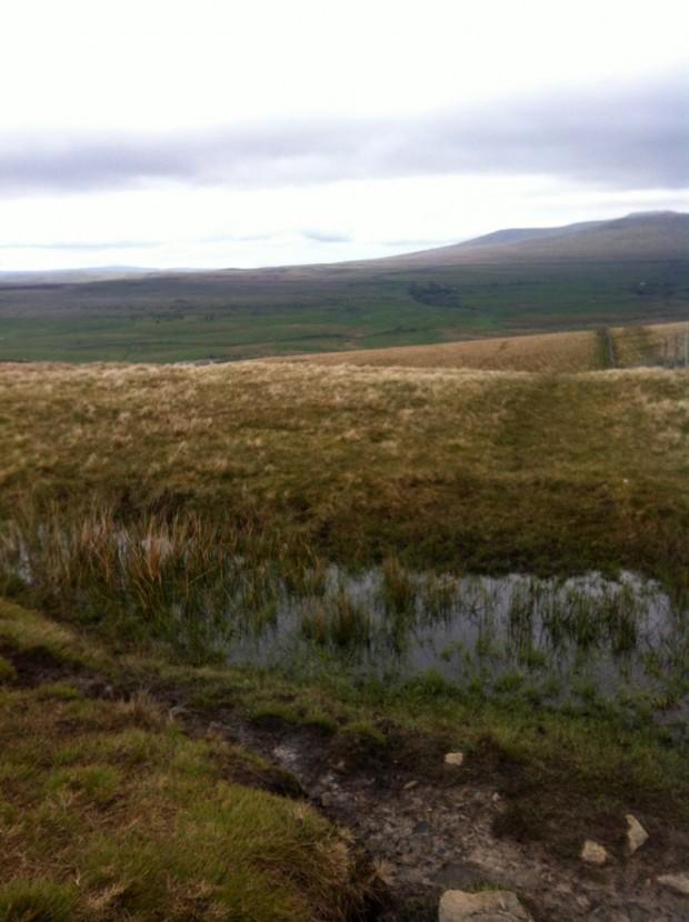 Yorkshire Three Peaks Challenge - Marshland... bog Yorkshire Three Peaks Challenge - Marshland... bog