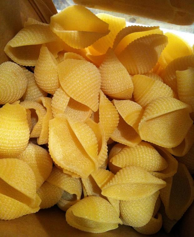 Sacla Conchiglie Pasta