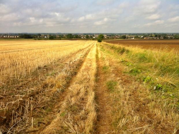 Lincolnshire Countryside