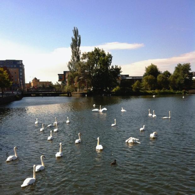 Snap Happy 7th September - Close to Nature