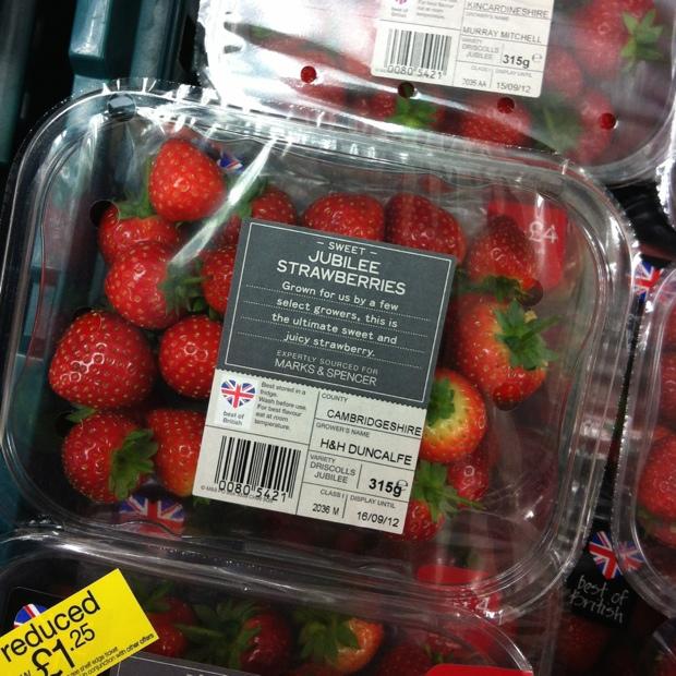 Snap Happy 13th September - Berries