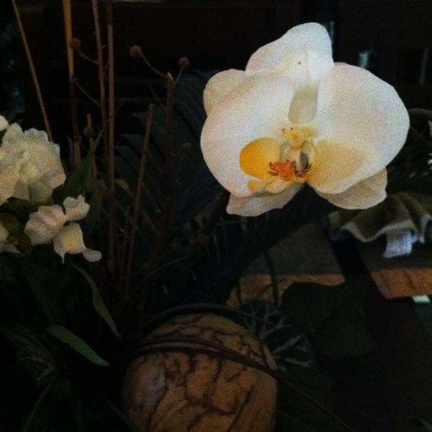 Snap Happy 29th September - Flowers