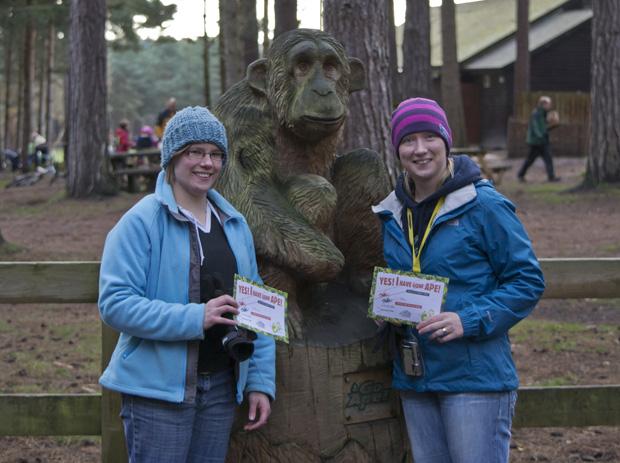 Go Ape, Sherwood Pines, Certificates
