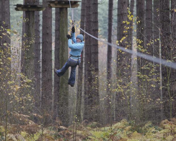 Go Ape, Sherwood Pines, Zip Wire