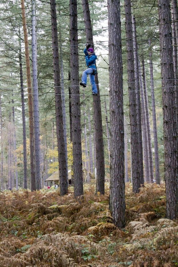 Go Ape, Sherwood Pines