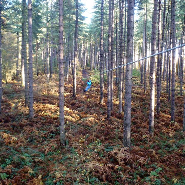 Go Ape, Sherwood Pines, Veronica on the Zip Wire