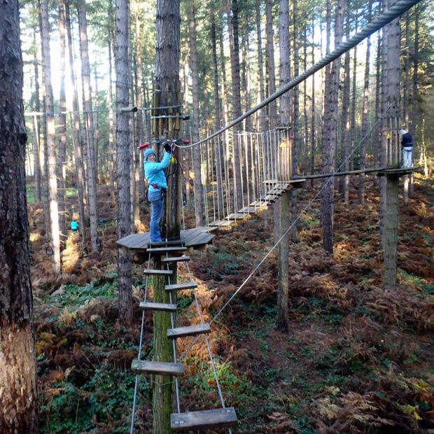 Go Ape, Sherwood Pines