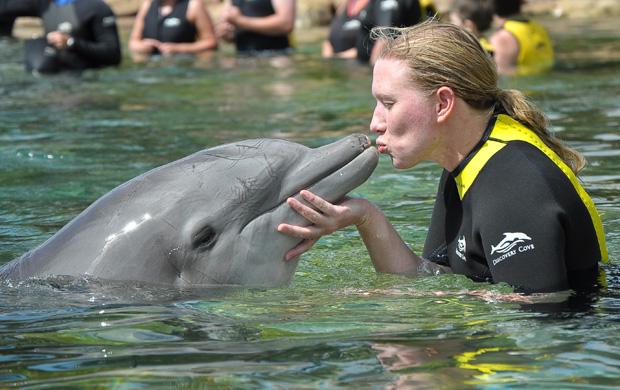 Dolphin Swim, Discovery Cove